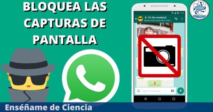 Whatsapp Ahora Permite El Bloqueo De Capturas De Pantalla Así Es Como Puedes Activar La Función 0907