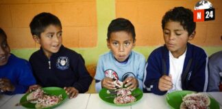 ¡Alerta Nutricional! América Latina Enfrenta una Crisis de Alimentación Escolar