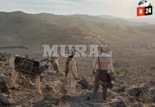 ¡Prepárate para el estreno de ‘Pedro Páramo’: Una adaptación cinematográfica que promete cautivar a los amantes del cine!