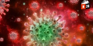 ¡Alerta en México! Viruela del Mono se Propaga Rápidamente