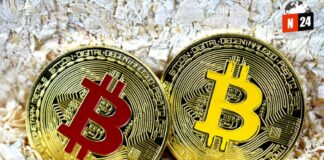 De $5,300 a $3 Millones: La Increíble Historia de un Inversor de Bitcoin que Casi Pierde Todo