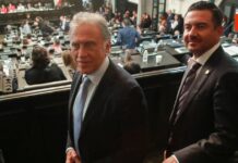 ¡Escándalo en el PAN! Expulsan a los Yunes por votar a favor de la reforma judicial de AMLO