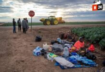 ¿Haitianos devorando mascotas? La verdad detrás de los polémicos comentarios de Trump