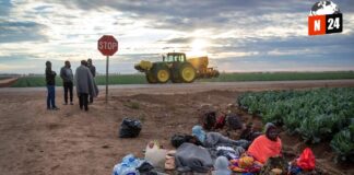 ¿Haitianos devorando mascotas? La verdad detrás de los polémicos comentarios de Trump