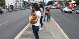 ¡Alerta sísmica en tu celular! Prepárate para el Simulacro Nacional 2024