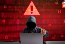 ¡Protege tu dinero de los ladrones contactless! Descubre cómo evitar el fraude con tarjetas sin contacto