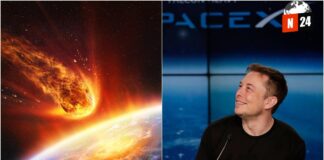 ¿Estamos a un paso de la extinción? Elon Musk advierte sobre el peligro de los asteroides