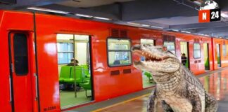 ¡Cocodrilo a bordo! Rescate emocionante en el Metro de la CDMX