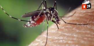 ¡Alerta Roja en Sinaloa! Primer Fallecimiento por Dengue Mortal Reportado