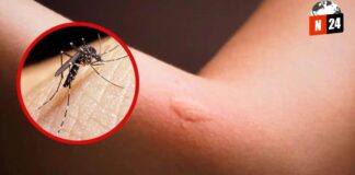 ¡Alerta Roja en Sinaloa! Dengue en Aumento y Hospitales Saturados