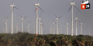 ¡Vientos de Cambio: La Revolución Eólica Transforma la Matriz Energética de México!