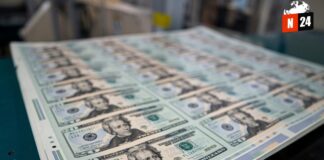 ¿Dólar en peligro? Inversionistas evitan la moneda ante elecciones y política de la Fed