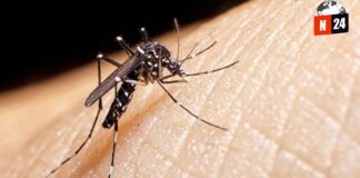 ¡Alerta Roja en Sinaloa! Dengue se dispara cuatro veces más que el año pasado