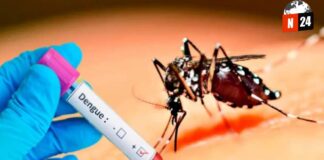 ¡Alerta Roja! Dengue Azota el Norte de Sinaloa: Autoridades Lanzan Llamado Urgente a la Acción