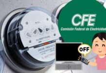 ¡Ahorra energía y dinero con estos trucos sorprendentes!