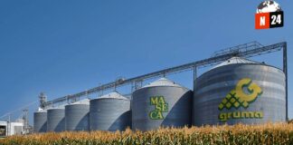 ¡Monopolio de la Harina de Maíz: Gruma Obligada a Vender 5 Plantas por Falta de Competencia!