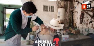 ¡Sorpresa! Organizaciones no partidistas se pronuncian sobre la candidata demócrata