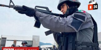 De la Violencia al Oasis de Seguridad: Cómo Tampico se Reinventó