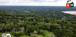Bombardeos Aéreos Sacuden el Cauca: Gobierno Colombiano Responde a Ataques de Disidentes de las FARC