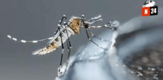 ¡Alerta Roja! Sinaloa Enfrenta una Epidemia de Dengue que Pone en Riesgo a Miles