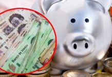 ¡Descubre los Bancos Mexicanos que Harán Crecer Tus Ahorros a Toda Velocidad!
