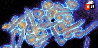 ¡Alerta Roja! Virus Mortal Azota Ruanda: Descubre Cómo Protegerte