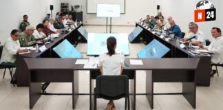 ¡Yucatán se transforma! Tren Maya y puerto de Progreso impulsan el desarrollo regional