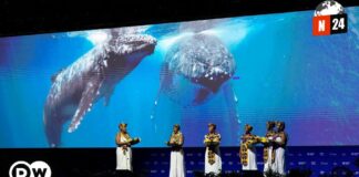 ¡Alerta mundial! Guterres urge a la acción climática antes de que sea demasiado tarde