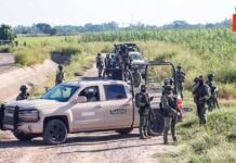 Golpe al Narcotráfico: Capturan a “El Max”, Pieza Clave del Cártel de Sinaloa