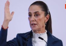 ¿Quién es el ‘Junior Tóxico’ que Enfrenta a la Presidenta Sheinbaum?