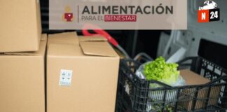 ¡Despensas Gratis para Mujeres Mexiquenses en Situación de Necesidad! Descubre Cómo Registrarte