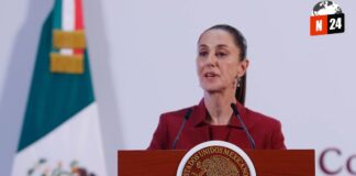 ¡Descubre los Precios del Huevo y la Lucha Contra el Crimen en México!