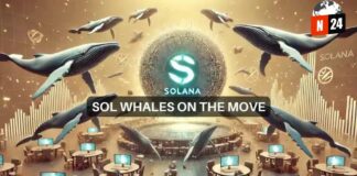 ¡Solana a punto de romper los $195! Las ballenas acumulan millones en SOL