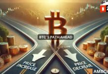 ¿Hacia dónde se dirige Bitcoin? El CEO de Into The Cryptoverse revela las claves del futuro