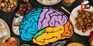 ¿Comer carne roja procesada puede afectar tu memoria? Descubre la sorprendente verdad