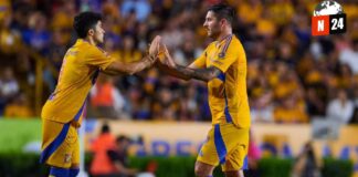 ¡Tigres y Xolos se enfrentan en un duelo fronterizo por la cima de la Liga MX!