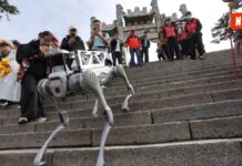 ¡Robots Perro al Rescate! Cómo la Tecnología Está Transformando la Limpieza de Montañas Patrimonio de la Humanidad