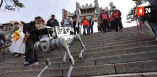 ¡Robots Perro al Rescate! Cómo la Tecnología Está Transformando la Limpieza de Montañas Patrimonio de la Humanidad