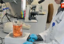 ¡Descubre cómo México está revolucionando la producción de hidrógeno verde!