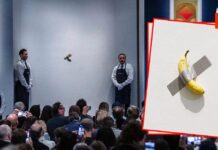 ¡Plátano de $120,000 Dólares Causa Sensación en el Mundo del Arte!
