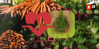 ¡Descubre el Vegetal Más Nutritivo del Mundo y Transforma tu Salud!