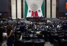 ¡Diputados aprueban nueva Ley de Derechos: ¿Cómo te afectará?
