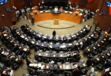 ¡Sacudiendo el Poder: Claudia Sheinbaum Impulsa Reforma Gubernamental Revolucionaria!