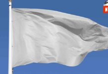 ¡Paz en México! La Iglesia Católica llama a una tregua nacional durante la Virgen de Guadalupe