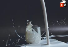 ¡Descubre las Mejores y Peores Marcas de Leche en México! Tu Guía Definitiva