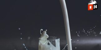 ¡Descubre las Mejores y Peores Marcas de Leche en México! Tu Guía Definitiva