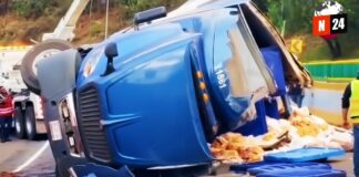 ¡Caos en la autopista! Tráiler volcado derrama toneladas de pollos congelados