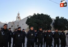 Belén: Una Navidad Apagada en Medio de la Guerra, pero el Papa Francisco Ilumina la Esperanza