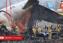 ¡Tragedia en el cielo de Corea del Sur! 179 vidas perdidas en accidente aéreo