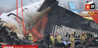¡Tragedia en el cielo de Corea del Sur! 179 vidas perdidas en accidente aéreo
